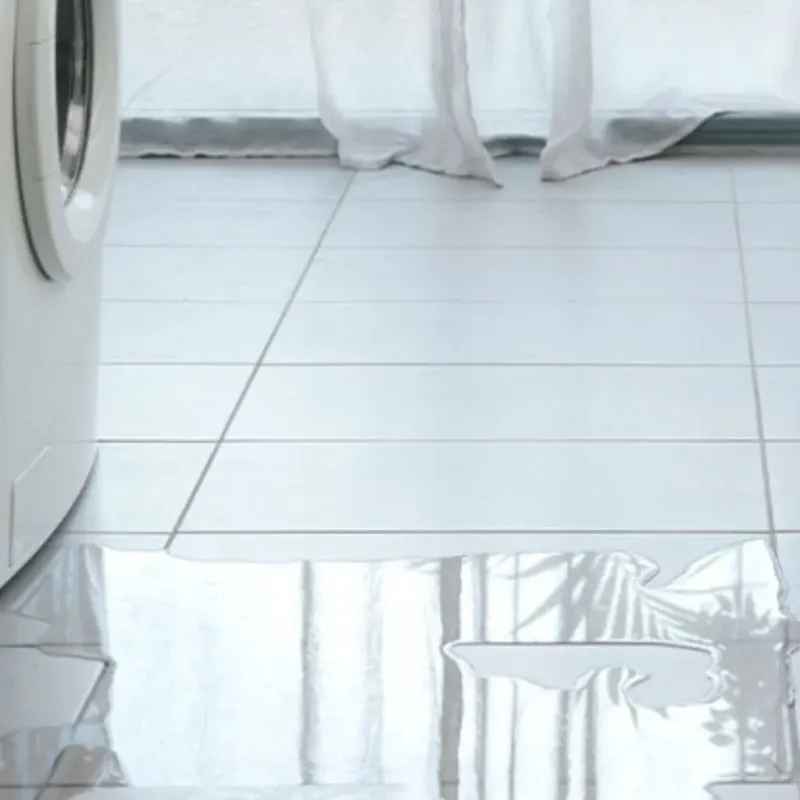 Appliance Leak Cleanup in Cleveland, TX