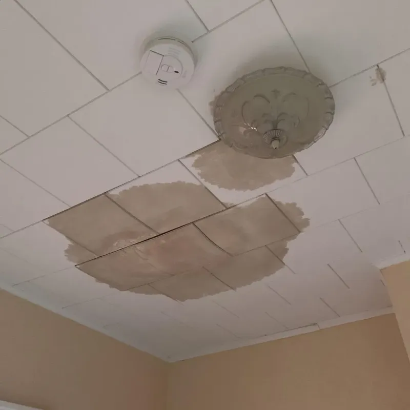 Ceiling Water Damage Repair in Cleveland, TX