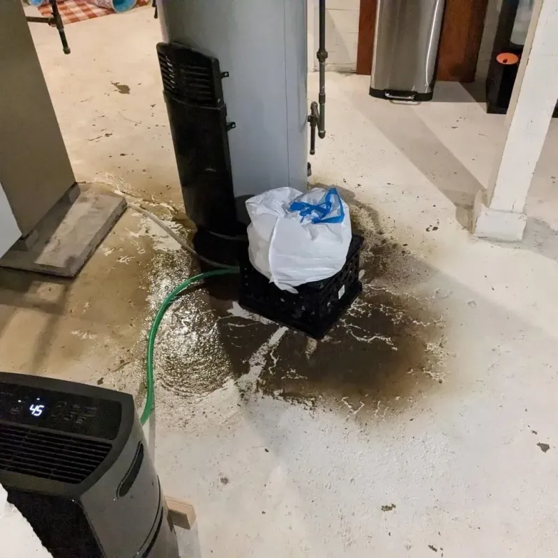 Sewage Backup Cleanup Service in Cleveland, TX